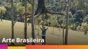 Arte Brasileira